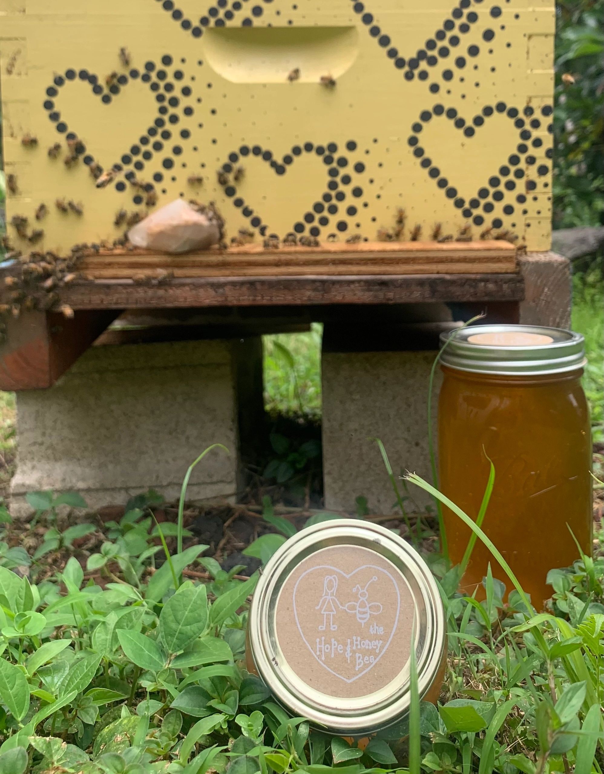 16 oz jar of raw, hand squeezed, Hawaiian honey