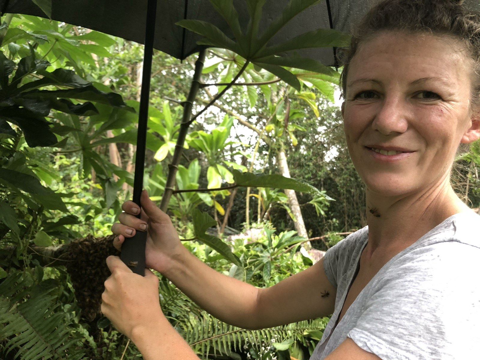 Hope among the greenery with an umbrella